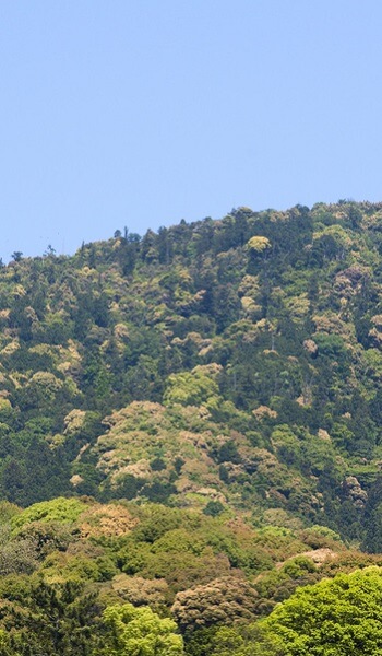 池利の代表挨拶